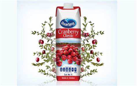 _ Jugo de Arándano 1 Lt. Ocean Spray